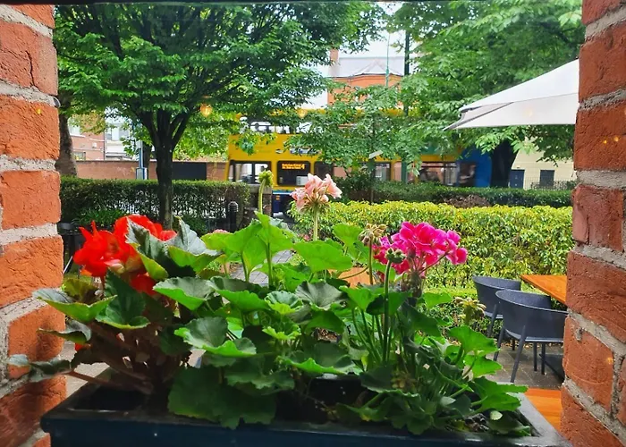 酒店 校舍酒店 4*